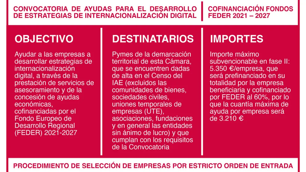 Cartel del Programa Xpande Digital 2024.