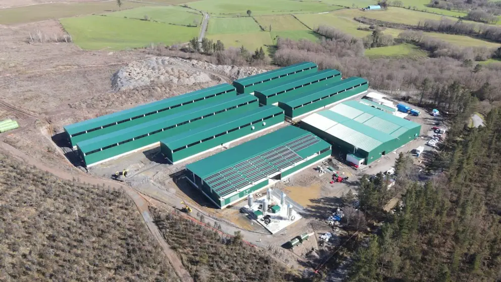 BioFlytech cuenta con 140.000 metros cuadrados de parcela en Palas de Rei.